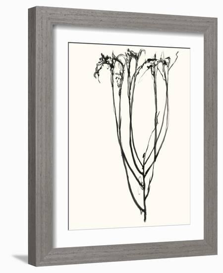 Naive Flower Sketch II-Jennifer Goldberger-Framed Art Print