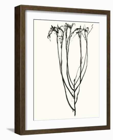 Naive Flower Sketch II-Jennifer Goldberger-Framed Art Print