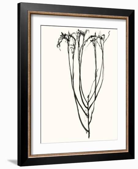 Naive Flower Sketch II-Jennifer Goldberger-Framed Art Print