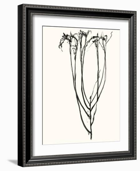 Naive Flower Sketch II-Jennifer Goldberger-Framed Art Print