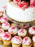 Wedding Cake/Cupcakes-nakactress-Premier Image Canvas