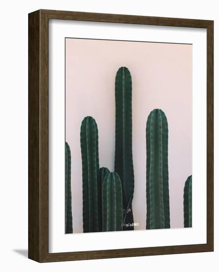 Naked Cactus-PhotoINC Studio-Framed Art Print