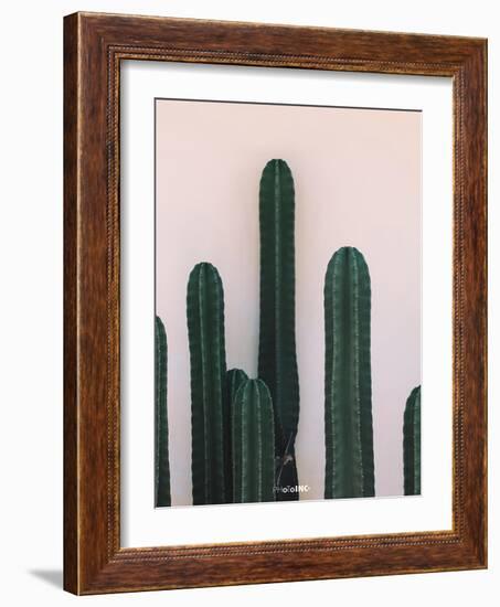 Naked Cactus-PhotoINC Studio-Framed Art Print