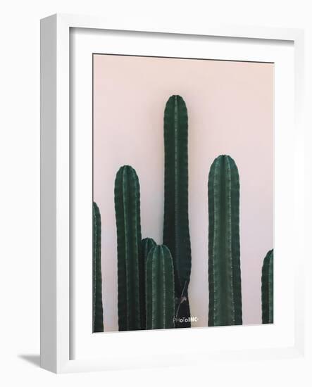 Naked Cactus-PhotoINC Studio-Framed Art Print