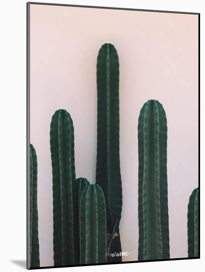 Naked Cactus-PhotoINC Studio-Mounted Art Print