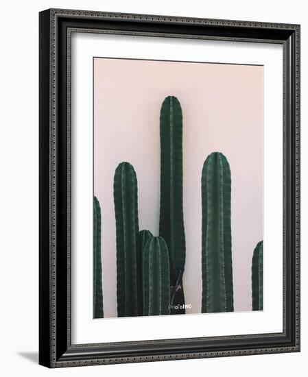 Naked Cactus-PhotoINC Studio-Framed Art Print