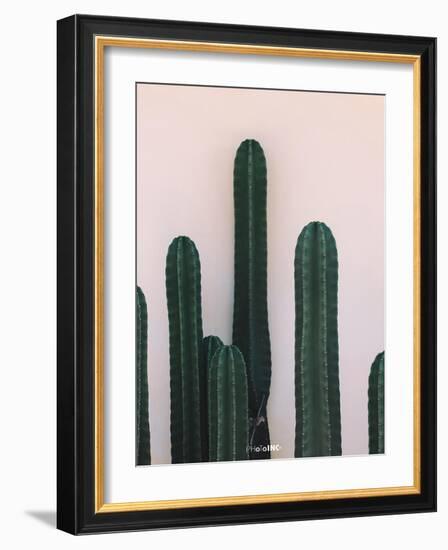 Naked Cactus-PhotoINC Studio-Framed Art Print