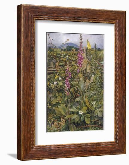 Naked Fairies Among the Foxgloves in Ancient Britain-Eleanor Fortescue Brickdale-Framed Photographic Print