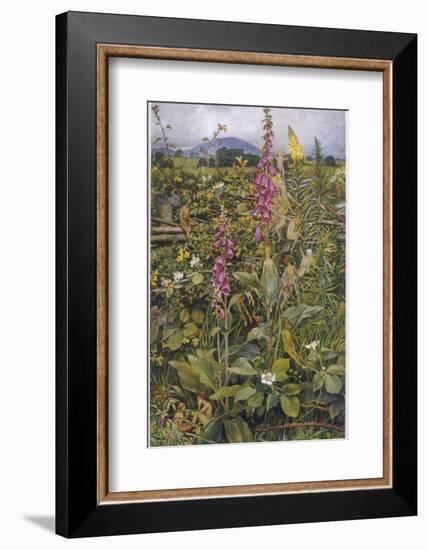 Naked Fairies Among the Foxgloves in Ancient Britain-Eleanor Fortescue Brickdale-Framed Photographic Print