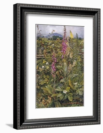 Naked Fairies Among the Foxgloves in Ancient Britain-Eleanor Fortescue Brickdale-Framed Photographic Print