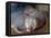 Naked Mole Rats-null-Framed Premier Image Canvas