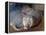 Naked Mole Rats-null-Framed Premier Image Canvas