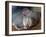Naked Mole Rats-null-Framed Photographic Print