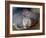 Naked Mole Rats-null-Framed Photographic Print