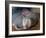 Naked Mole Rats-null-Framed Photographic Print