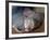 Naked Mole Rats-null-Framed Photographic Print