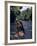 Naked Tahitian Woman Bathing in a River-null-Framed Photographic Print