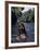 Naked Tahitian Woman Bathing in a River-null-Framed Photographic Print