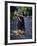 Naked Tahitian Woman Bathing in a River-null-Framed Photographic Print