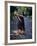 Naked Tahitian Woman Bathing in a River-null-Framed Photographic Print