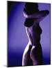 Naked Woman, Computer Artwork-Christian Darkin-Mounted Photographic Print