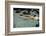 Naked woman diving in swimming pool-Panoramic Images-Framed Photographic Print