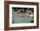 Naked woman diving in swimming pool-Panoramic Images-Framed Photographic Print