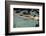 Naked woman diving in swimming pool-Panoramic Images-Framed Photographic Print