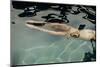 Naked woman diving in swimming pool-Panoramic Images-Mounted Photographic Print