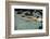 Naked woman diving in swimming pool-Panoramic Images-Framed Premium Photographic Print
