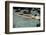 Naked woman diving in swimming pool-Panoramic Images-Framed Premium Photographic Print