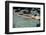 Naked woman diving in swimming pool-Panoramic Images-Framed Premium Photographic Print