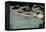 Naked woman diving in swimming pool-Panoramic Images-Framed Premier Image Canvas