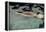 Naked woman diving in swimming pool-Panoramic Images-Framed Premier Image Canvas