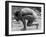 Naked woman posing on edge of swimming pool-Panoramic Images-Framed Photographic Print