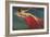 Naked Woman Riding Large Gold Fish-null-Framed Premium Giclee Print