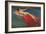 Naked Woman Riding Large Gold Fish-null-Framed Premium Giclee Print