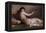 Naked Woman with Little Bird (Nudo Con Uccellino)-Demetrio Cosola-Framed Premier Image Canvas