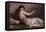 Naked Woman with Little Bird (Nudo Con Uccellino)-Demetrio Cosola-Framed Premier Image Canvas