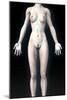 Naked Woman-Christian Darkin-Mounted Photographic Print