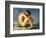 Naked Young Man Sitting by the Sea, 1836-Hippolyte Flandrin-Framed Giclee Print