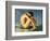 Naked Young Man Sitting by the Sea, 1836-Hippolyte Flandrin-Framed Giclee Print