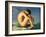 Naked Young Man Sitting by the Sea, 1836-Hippolyte Flandrin-Framed Giclee Print