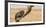 Namaqua Chameleon (Chamaeleo Namaquensis), Namib Desert, Swakopmund, Namibia-Wim van den Heever-Framed Photographic Print