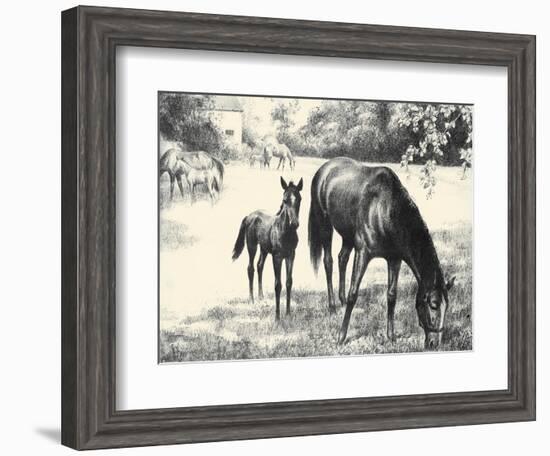 Names; Good And Bad-C.W. Anderson-Framed Art Print