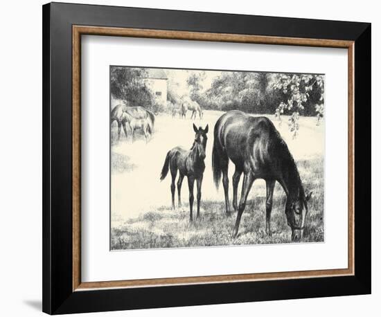 Names; Good And Bad-C.W. Anderson-Framed Art Print