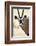 Namib and Nature Reserve, Namibia. a Close-up of a Gemsbok (Oryx)-Janet Muir-Framed Photographic Print