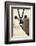 Namib and Nature Reserve, Namibia. a Close-up of a Gemsbok (Oryx)-Janet Muir-Framed Photographic Print