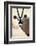 Namib and Nature Reserve, Namibia. a Close-up of a Gemsbok (Oryx)-Janet Muir-Framed Photographic Print