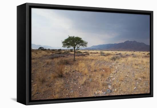 Namib-Naukluft National Park at Sunrise-Alex Saberi-Framed Premier Image Canvas